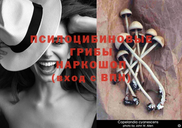 экстази Абаза