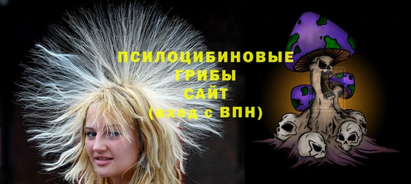 трава Абинск